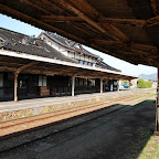 DSC_1527.jpg