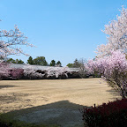 P1020340.jpg
