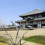 DSC_7380.jpg