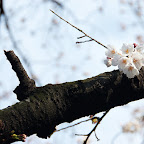 DSC_5440.jpg