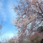 DSC_5479.JPG