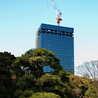 DSC_5694.jpg