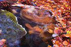DSC_4597.jpg