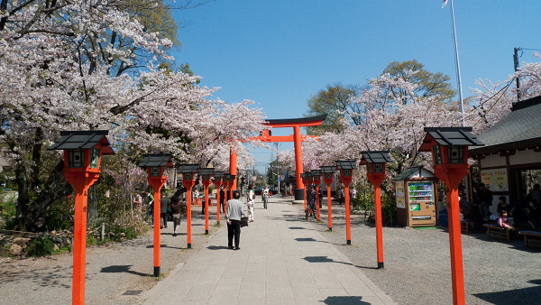 平野神社東面的鳥居