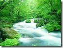 Natureza Natureza