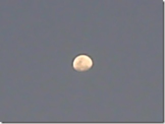 Lua Lua