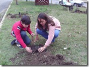 Plantando árvores Plantando árvores