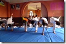 Lotus Judo Club - travail technique