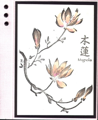 [magnolia[2].jpg]