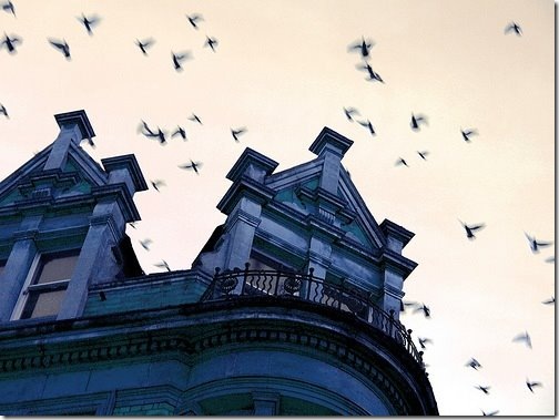 Creepy-Houses-22