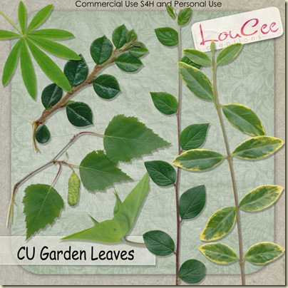 lcc-GardenLeaves-Preview