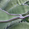 P2270006.JPG