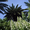 DSC03304.JPG