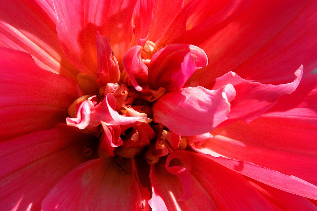 [DSCN1289red[5].jpg]