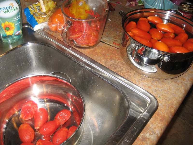 Making red wine tomato sauce. Removing skins.