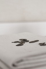 IMG_3638