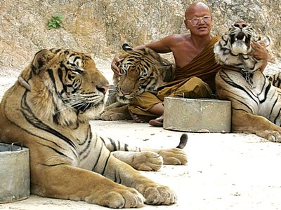 http://kotomysh.livejournal.com/101655.html