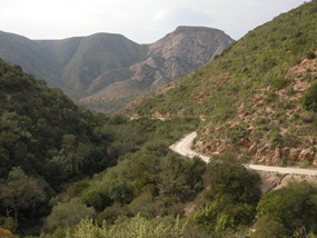 Südafrika158