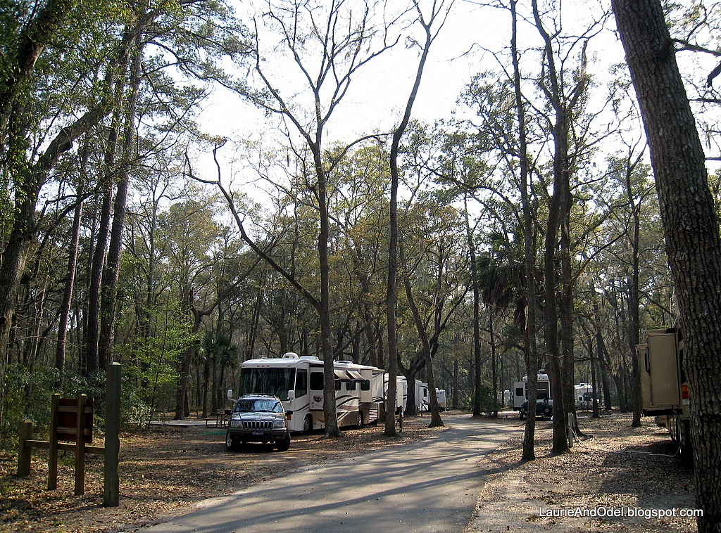 [Our camping area at Skidaway[2].jpg]