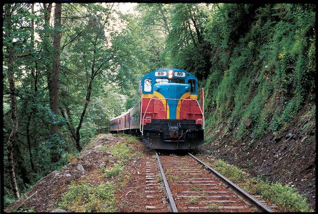[train_in_forest_sm[4].jpg]