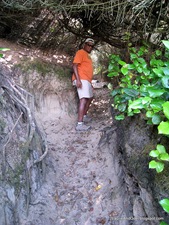 Odel on the Hobbit Trail