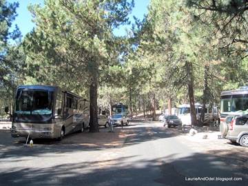 Spacious sites, but no privacy Spacious sites, but no privacy