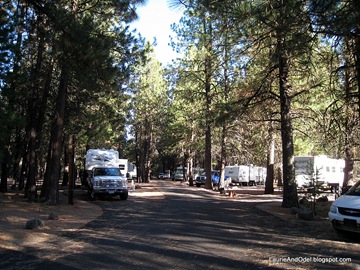 Typical view at Collier Memorial State Park