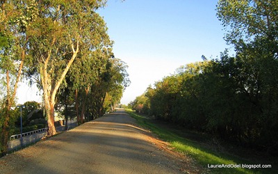 An afternoon walk along the American River levee adjacent to the RV park.