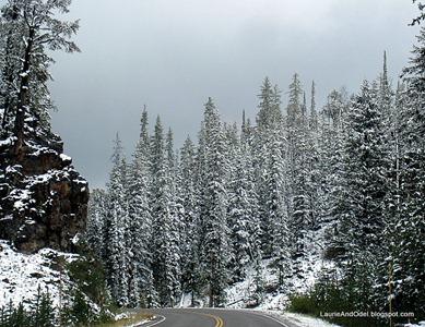 Yellowstone snow