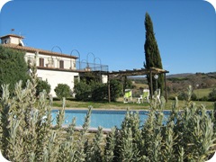 IMG_0934 IMG_0934