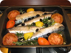 IMG_1399 IMG_1399