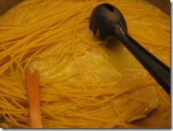 IMG_1695 IMG_1695