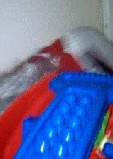 [acbenfranklin[3].gif]