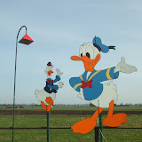 DSCF2459.JPG