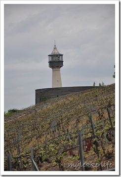 DSC_0974 DSC_0974