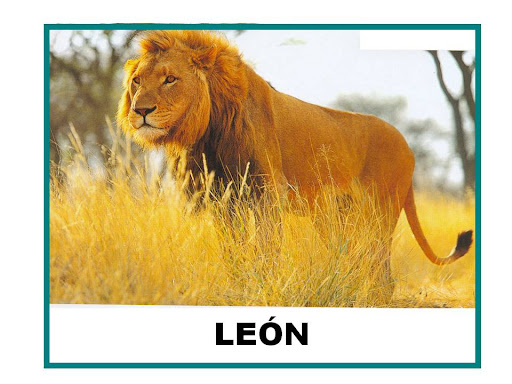el leon ficha infantil