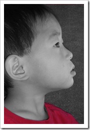 640544353_copy