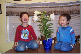 picture_or_video_277