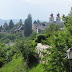 IMG_1369.JPG