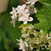 il convento 9-09 262.JPG
