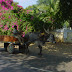 DSC00874.JPG