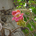 DSC00920.JPG