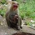 DSC01304.JPG