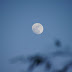 DSC00871.JPG