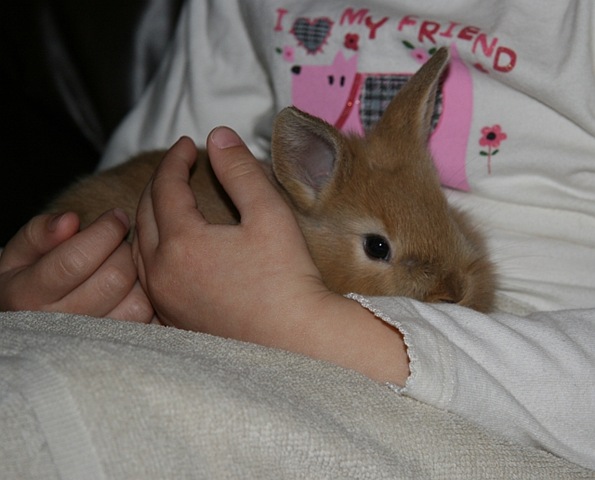 [IMG_28908.jpg]