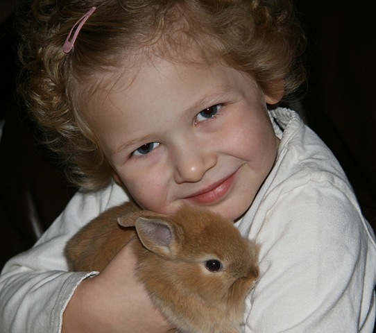[IMG_28934.jpg]