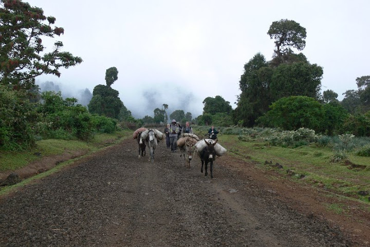 etiopia