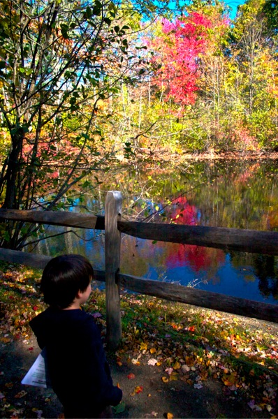CRW_7707.jpg CRW_7707.jpg
