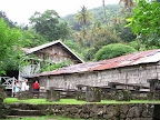 Cocoa production at Fond Doux Estate