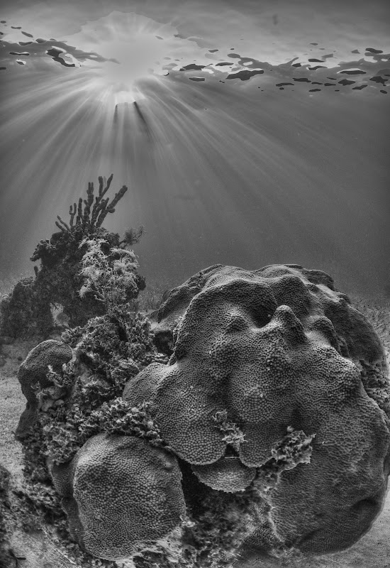 Tokina%2017mm%20f112009-02-189730.jpg